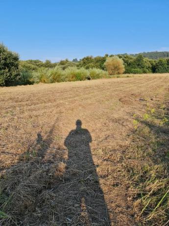 Terreno en Lugar Telleiro Noalla s/n