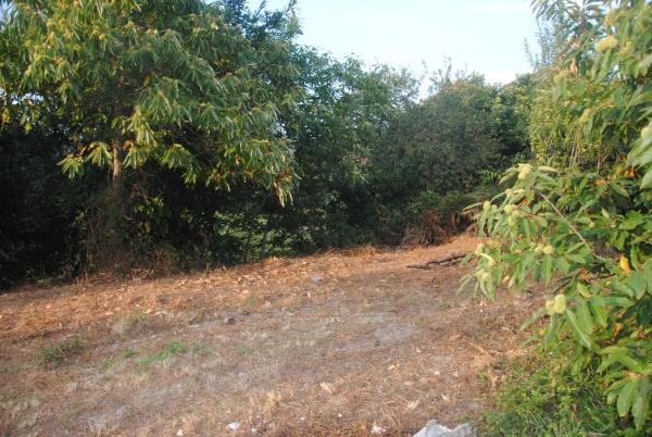 Terreno en Lugar Eiravedra, 5 b