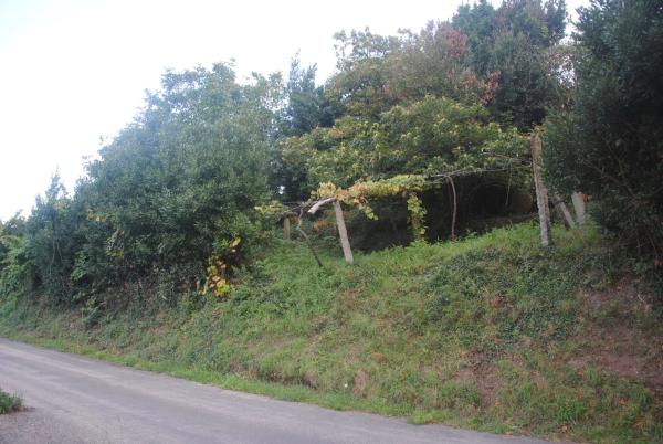 Terreno en Lugar Eiravedra, 5 b