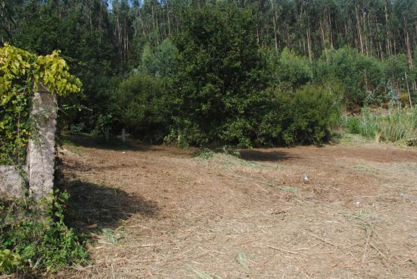 Terreno en Lugar o Outeiro