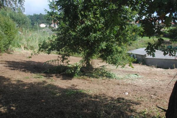 Terreno en Lugar o Outeiro