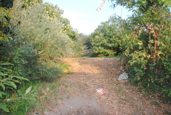 Terreno en Lugar Eiravedra, 5 b