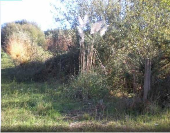 Terreno en camino tombo s/n