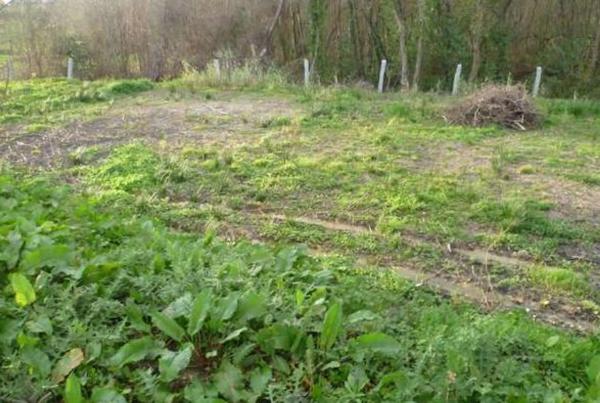 Terreno en lugar vilalonga s/n