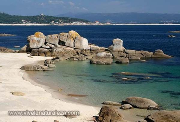 Terreno en San Vicente