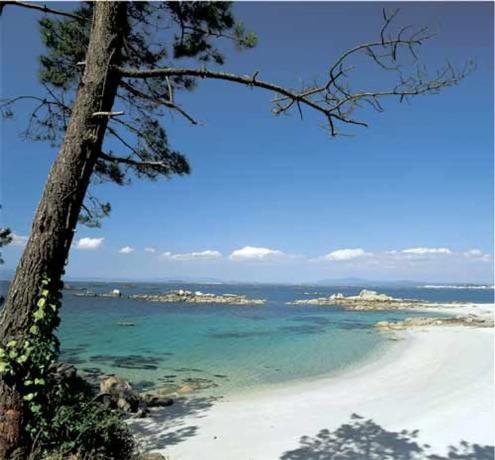 Terreno en San Vicente