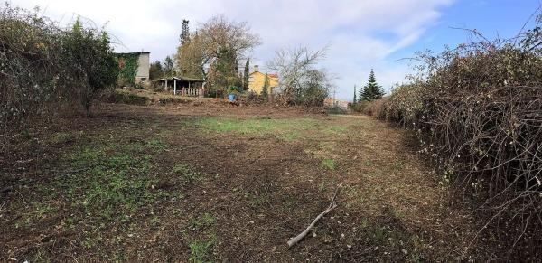 Terreno en camino Borrizos, 34