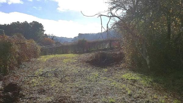 Terreno en camino Borrizos, 34