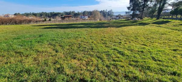 Terreno en calle Vichona