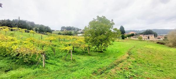 Terreno en Lugar de Os Currás, 9