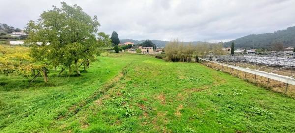 Terreno en Lugar de Os Currás, 9