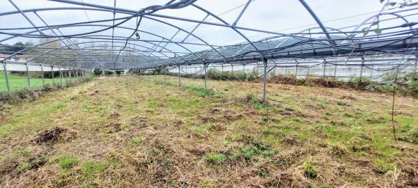 Terreno en Lugar de Os Currás, 9