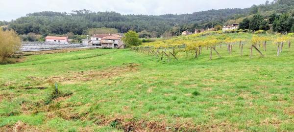 Terreno en Lugar de Os Currás, 9