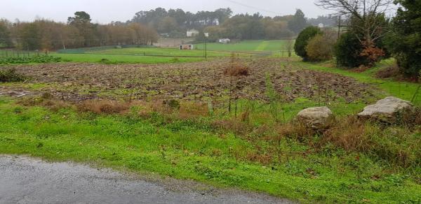 Terreno en carretera N-525 s/n