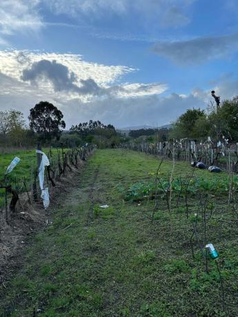 Terreno en Lugar Coto, 8