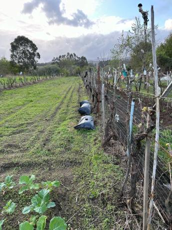 Terreno en Lugar Coto, 8