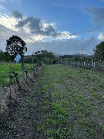 Terreno en Lugar Coto, 8