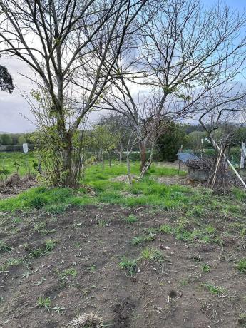 Terreno en Lugar Coto, 8