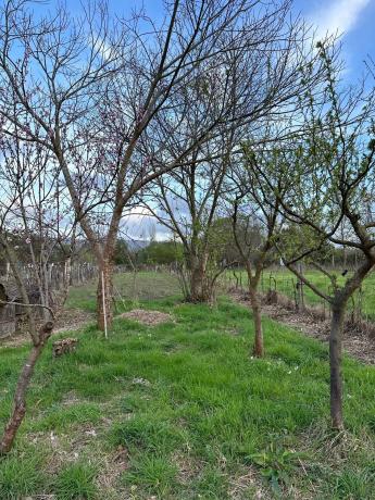 Terreno en Lugar Coto, 8