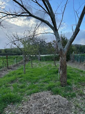 Terreno en Lugar Coto, 8