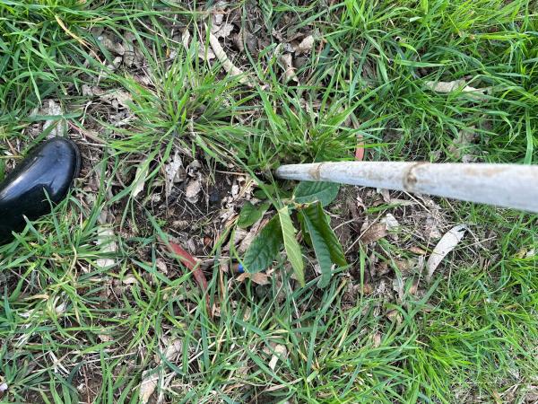 Terreno en Lugar Coto, 8