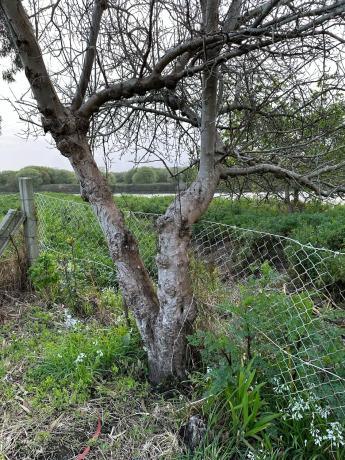 Terreno en Lugar Coto, 8