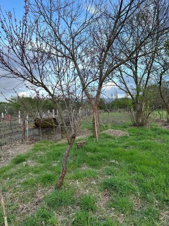 Terreno en Lugar Coto, 8