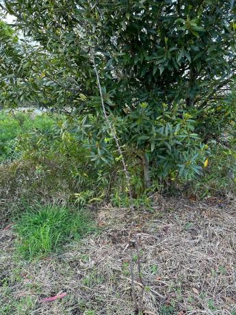 Terreno en Lugar Coto, 8