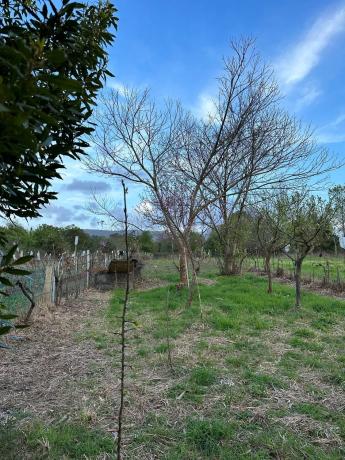 Terreno en Lugar Coto, 8