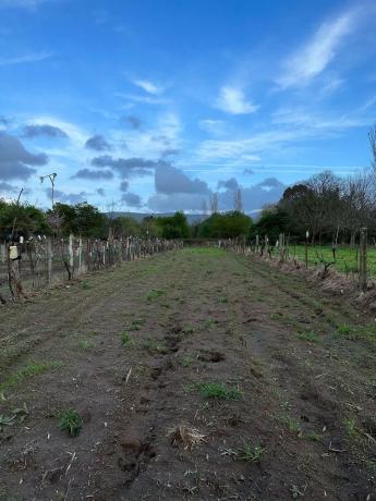 Terreno en Lugar Coto, 8