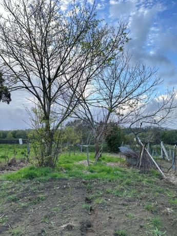 Terreno en Lugar Coto, 8