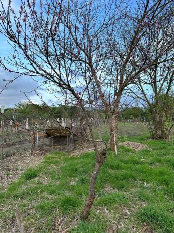 Terreno en Lugar Coto, 8