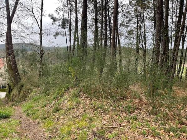 Terreno en Suelo Polígono 54 Parcela 283