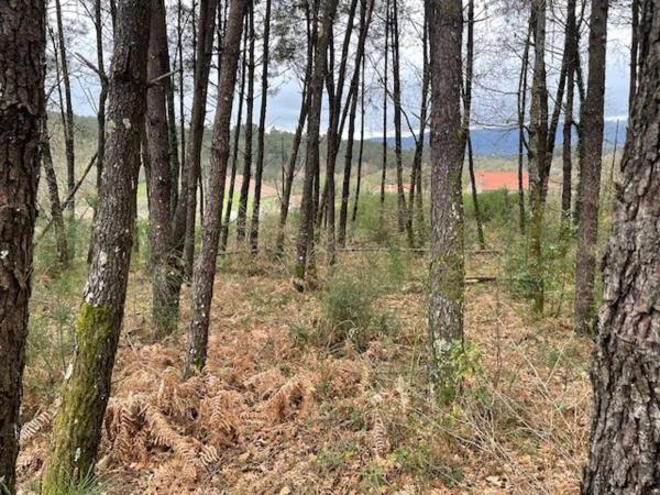 Terreno en Suelo Polígono 54 Parcela 283