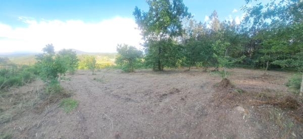 Terreno en -, km 550