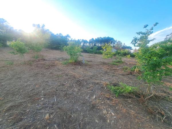 Terreno en -, km 550