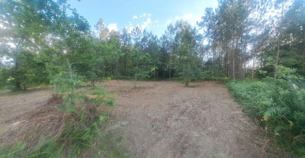 Terreno en -, km 550