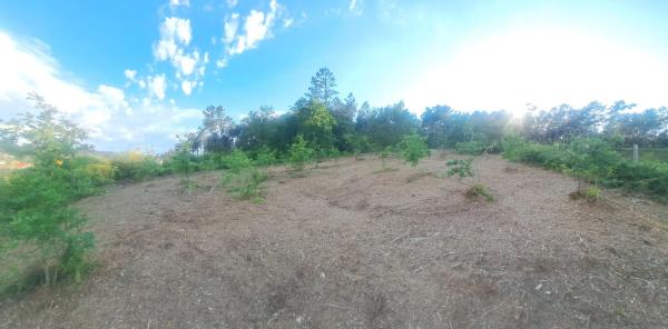 Terreno en -, km 550