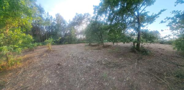 Terreno en -, km 550