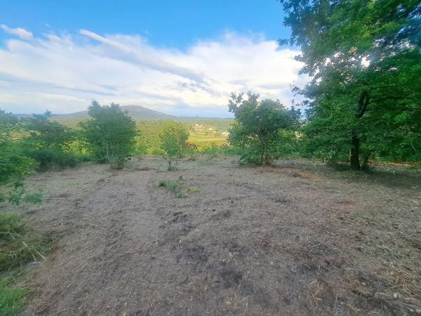 Terreno en -, km 550