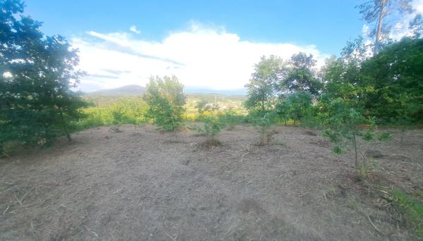 Terreno en -, km 550