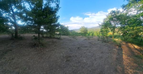 Terreno en -, km 550