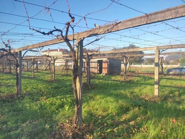 Terreno en Lugar Torre, 54