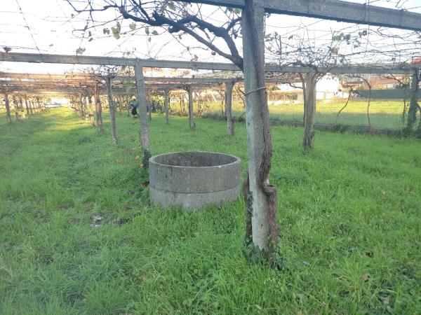 Terreno en Lugar Torre, 54