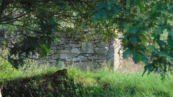 Terreno en Lg Vilarello-Cordeiro s/n