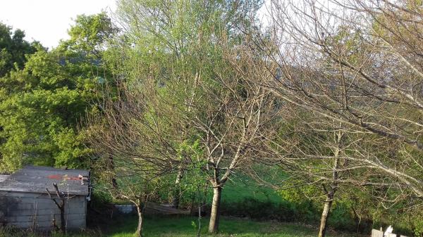 Terreno en Po-905, 905