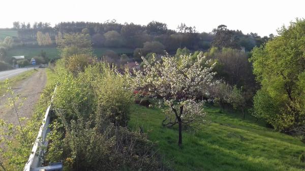 Terreno en Po-905, 905