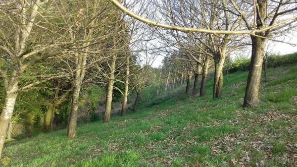 Terreno en Po-905, 905