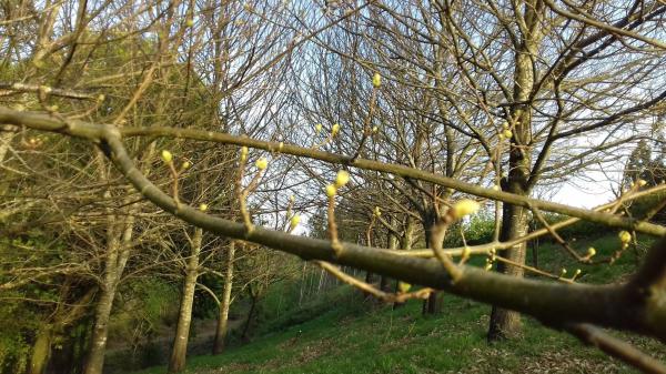 Terreno en Po-905, 905