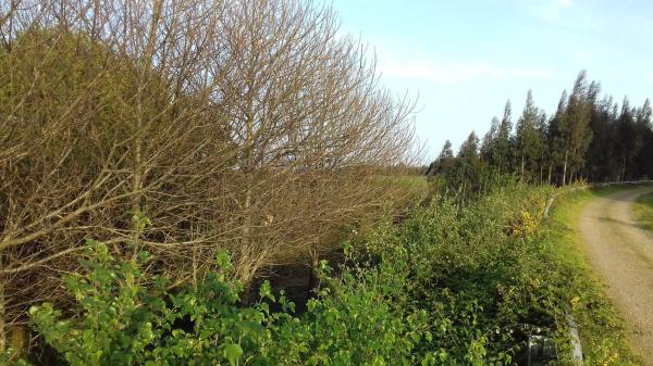 Terreno en Po-905, 905